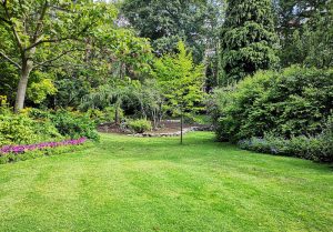 Optimiser l'expérience du jardin à Courcelles-sous-Moyencourt